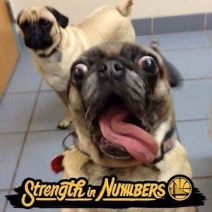 Meet your Posher, Nicholas